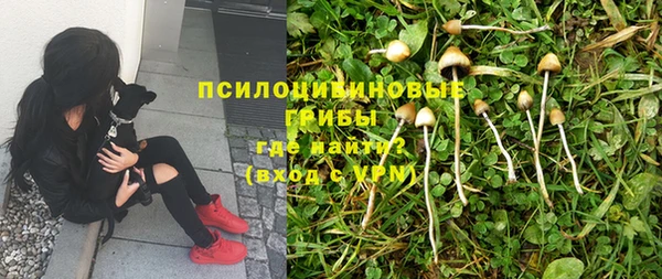 гидра Пролетарск