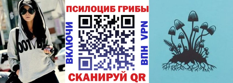 Купить закладки  Люберцы  Галлюциногенные грибы Psilocybe 